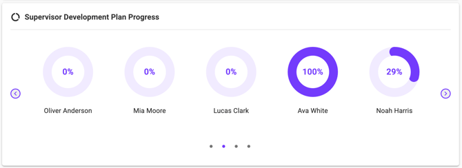 Image Supervisor Development Plan Progress Widget